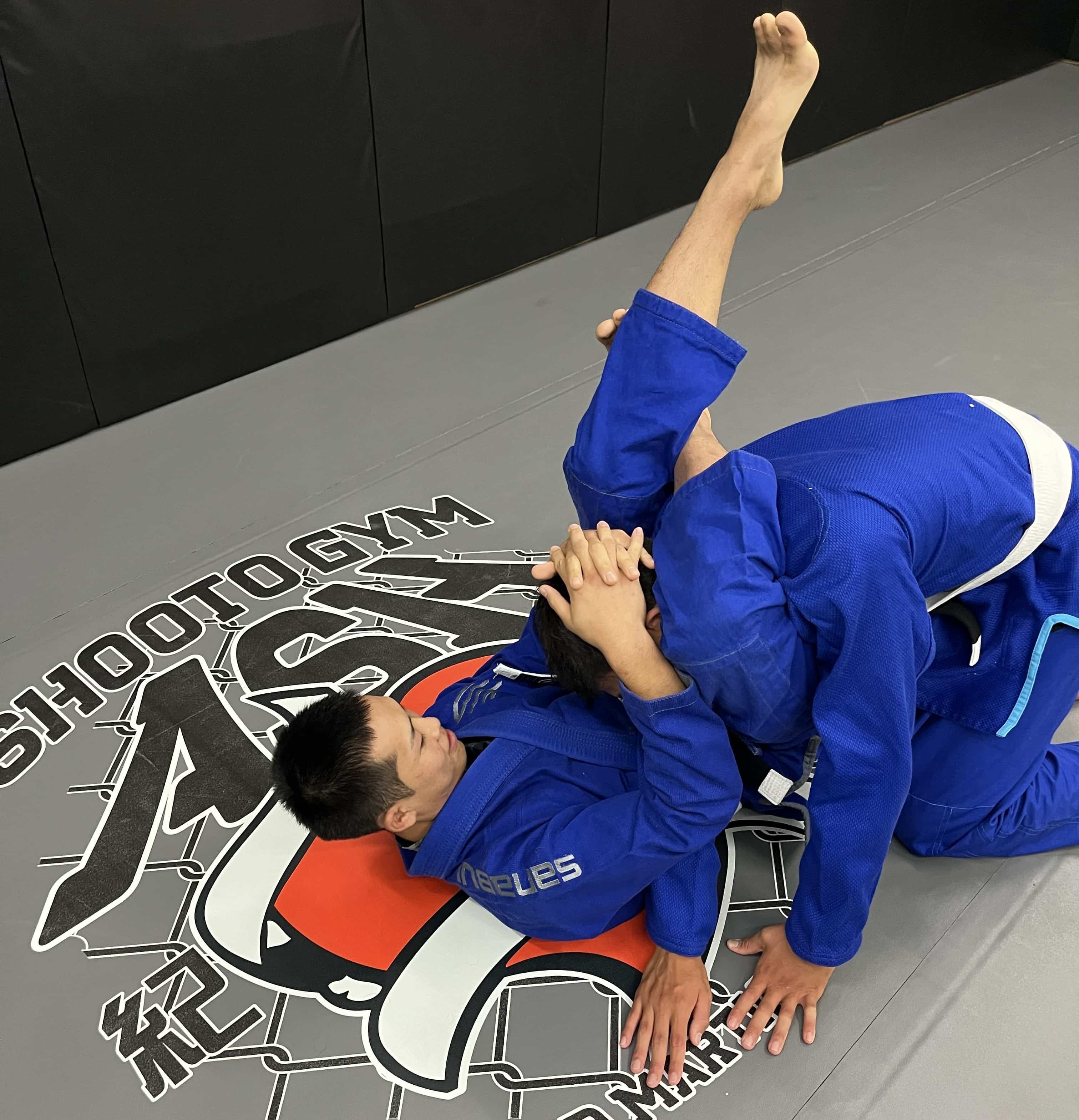 柔術・グラップリング